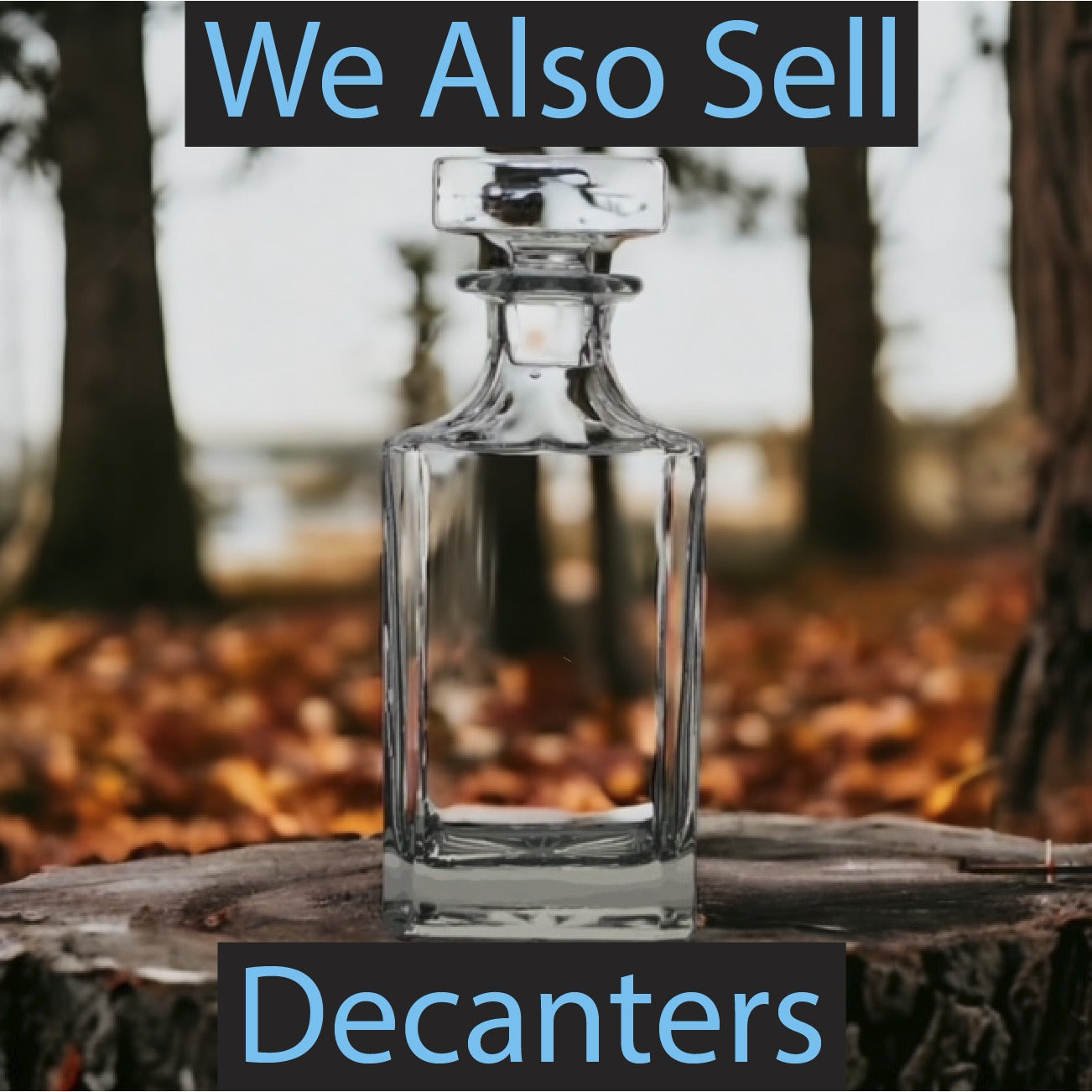 Seal Wine Glasses x4 Premium 12 Oz Personalize Ocean Beach Animal Gift NEW