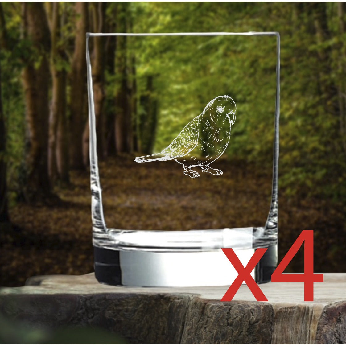 Parakeet Whiskey Glasses x4 Double 14 Oz Premium Old Fashioned Animal Gift NEW