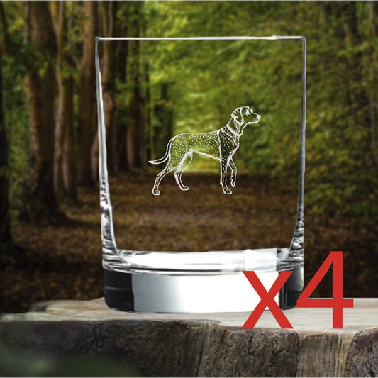 German Shorthaired Pointer Whiskey Glasses x4 Double 14 Oz Old Fashioned Dog NEW